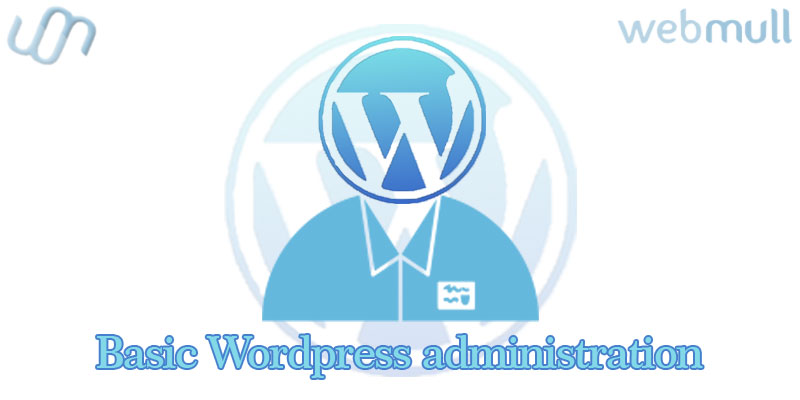 Basic WordPress Administration for website